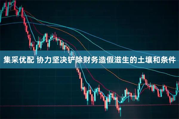 集采优配 协力坚决铲除财务造假滋生的土壤和条件