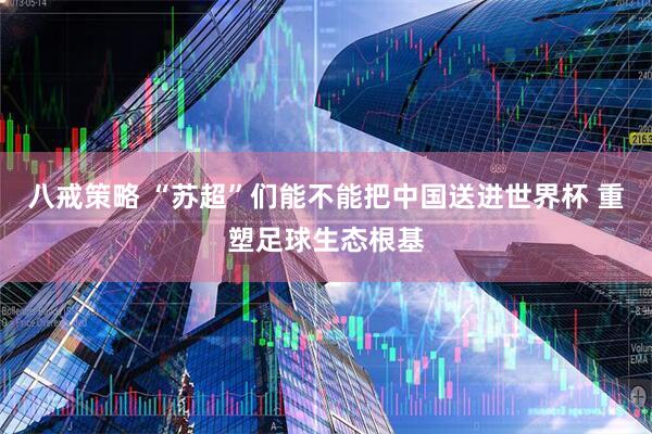 八戒策略 “苏超”们能不能把中国送进世界杯 重塑足球生态根基