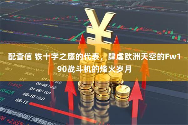 配查信 铁十字之鹰的代表，肆虐欧洲天空的Fw190战斗机的烽火岁月