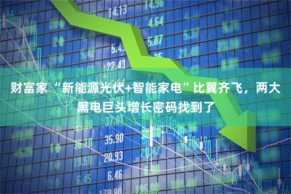 财富家 “新能源光伏+智能家电”比翼齐飞，两大黑电巨头增长密码找到了