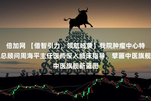 倍加网 【借智引力，领航岐黄】我院肿瘤中心特邀中医总顾问周海平主任医师深入临床指导，擘画中医旗舰新蓝图