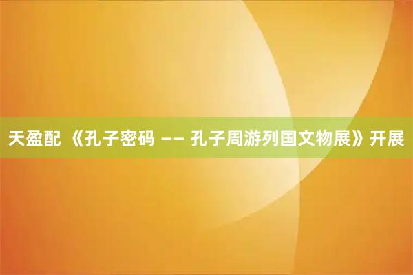 天盈配 《孔子密码 —— 孔子周游列国文物展》开展