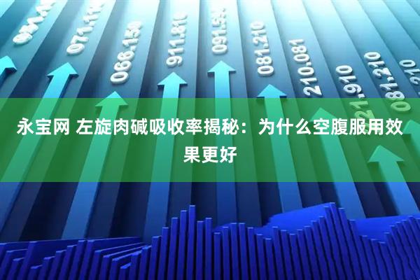永宝网 左旋肉碱吸收率揭秘：为什么空腹服用效果更好