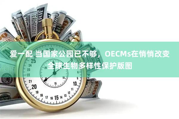 爱一配 当国家公园已不够，OECMs在悄悄改变全球生物多样性保护版图