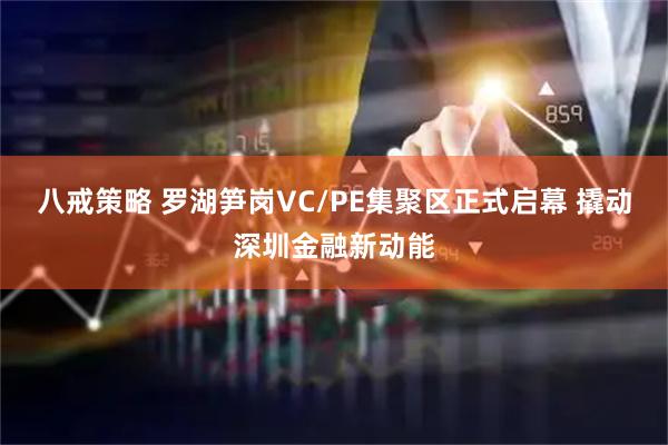 八戒策略 罗湖笋岗VC/PE集聚区正式启幕 撬动深圳金融新动能