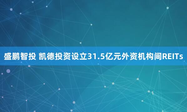 盛鹏智投 凯德投资设立31.5亿元外资机构间REITs