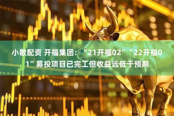 小散配资 开福集团：“21开福02”“22开福01”募投项目已完工但收益远低于预期