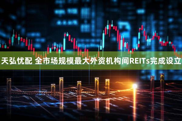 天弘忧配 全市场规模最大外资机构间REITs完成设立